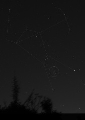 Orion outline 20201122